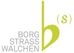 BORG Straßwalchen